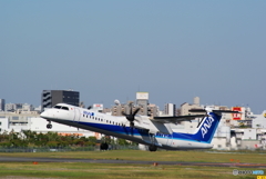 ラッキー！