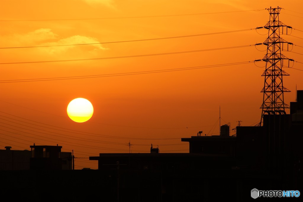 手のひらを太陽に