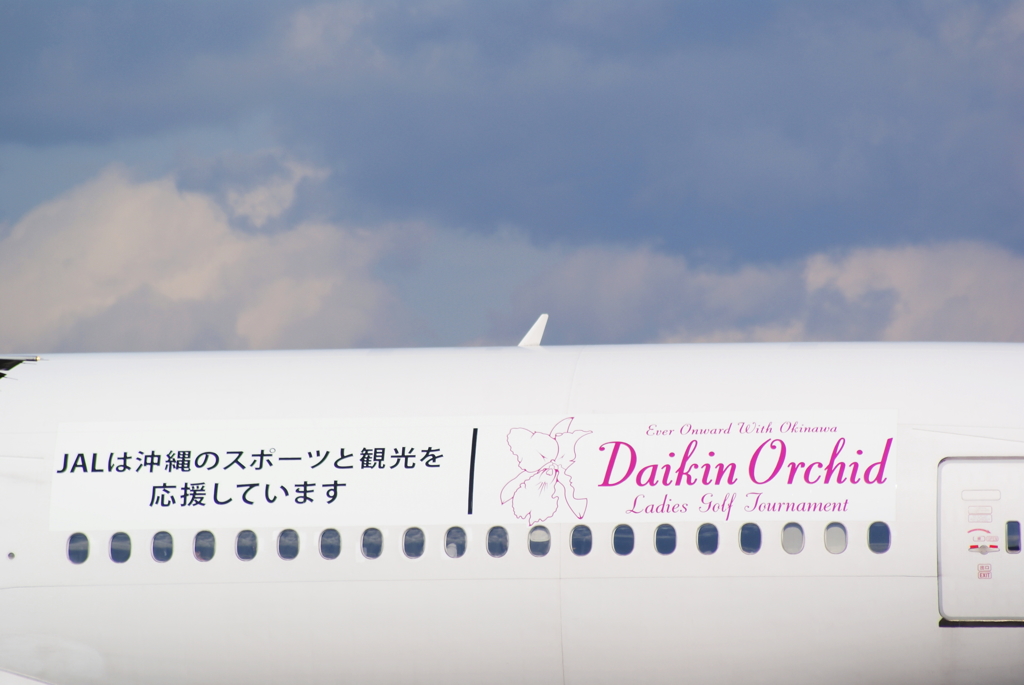 JAL 沖縄