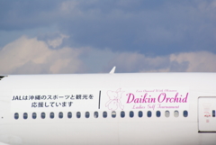 JAL 沖縄