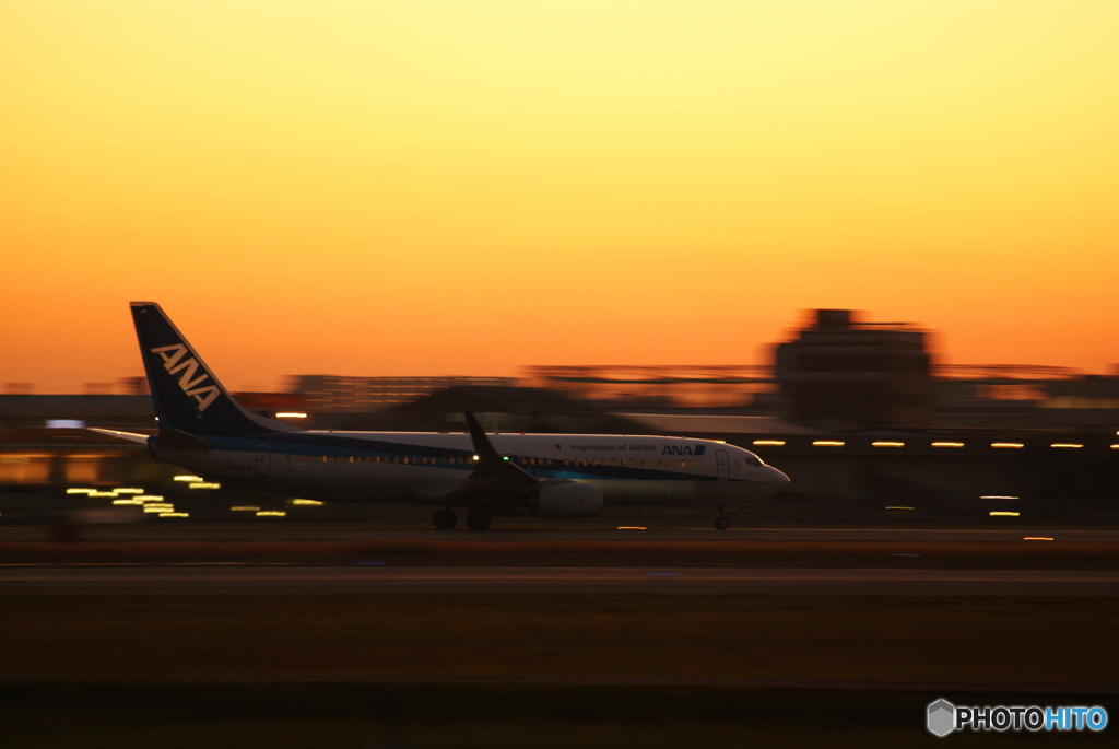夕日と飛行機がみたくて