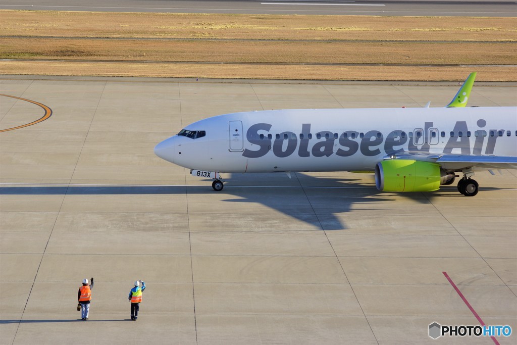 Solaseed