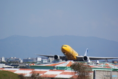 ヌワ～っと出てきた！
