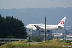 B767