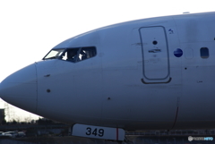 Face349