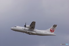 しろかちゃん