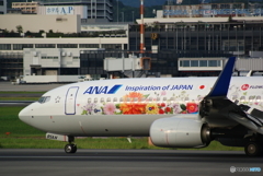 フラワーさん