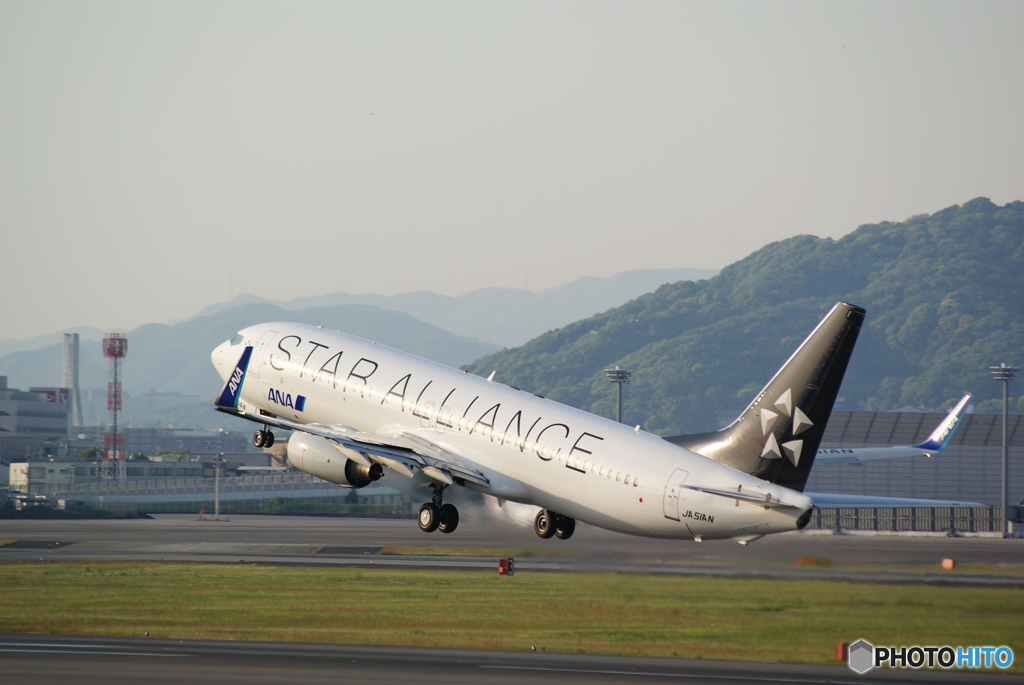 STAR ALLIANCE　B737