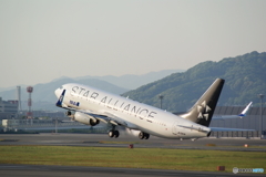 STAR ALLIANCE　B737