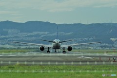近寄れません
