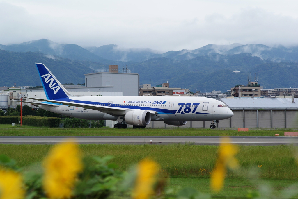 ANA 787