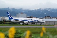 ANA 787