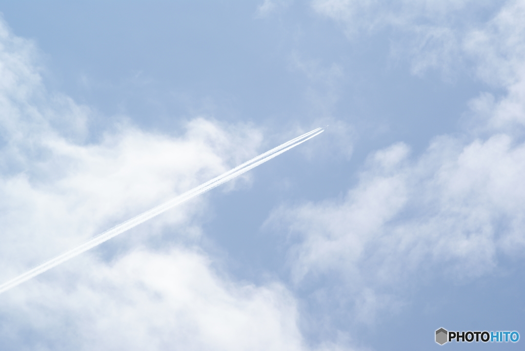 空高く