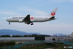うめぼし君