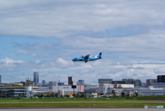 イルカの泳ぐ街