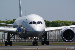 B787-8