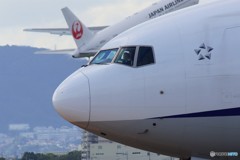 離陸ラッシュ