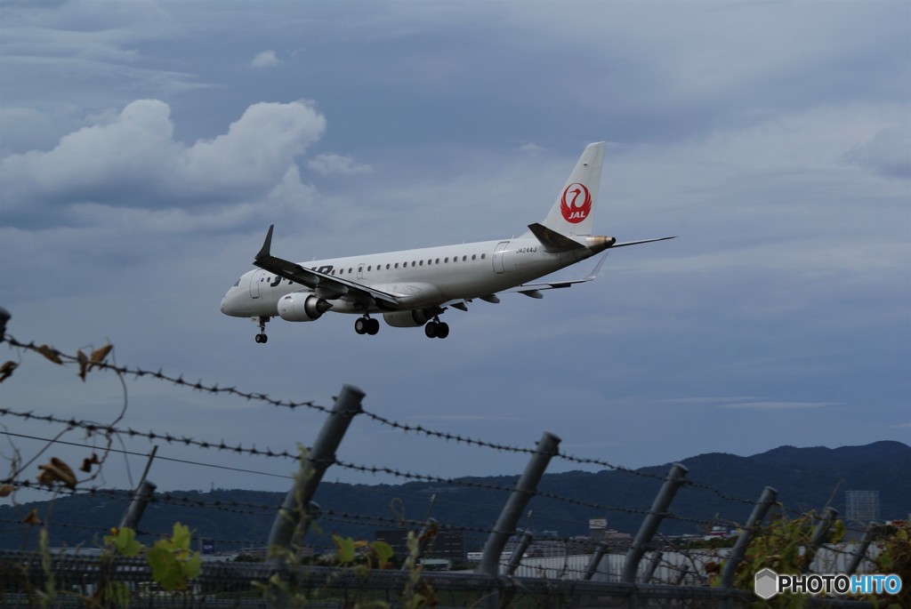 暑さも飛び越えて