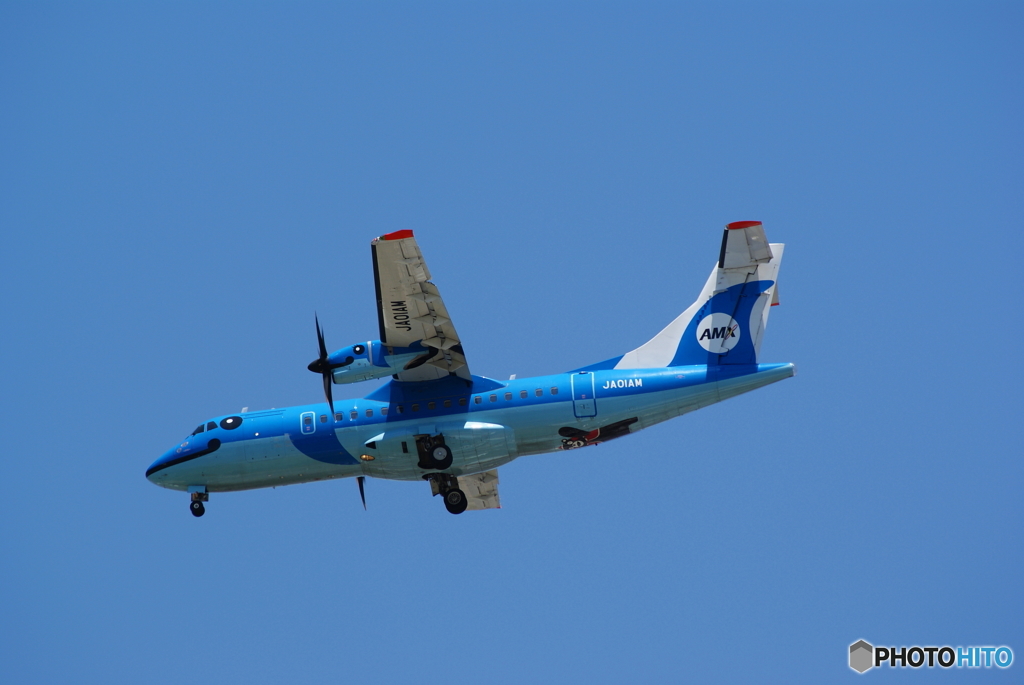幸せの青い飛行機