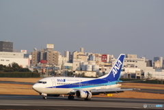 新春