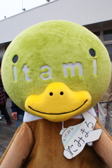 たみまる