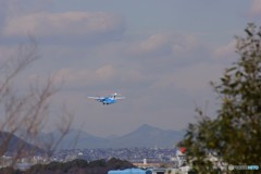 バイバーイ