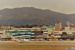 カラフル