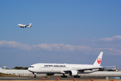 中から小さいのが！