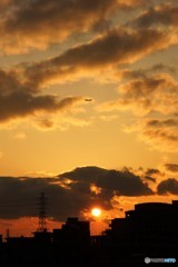 日が長くなりました