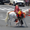 葵祭　これゴールドシップと違うわな