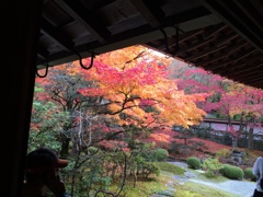 京都 泉涌寺
