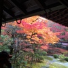 京都 泉涌寺