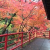 京都 今熊野