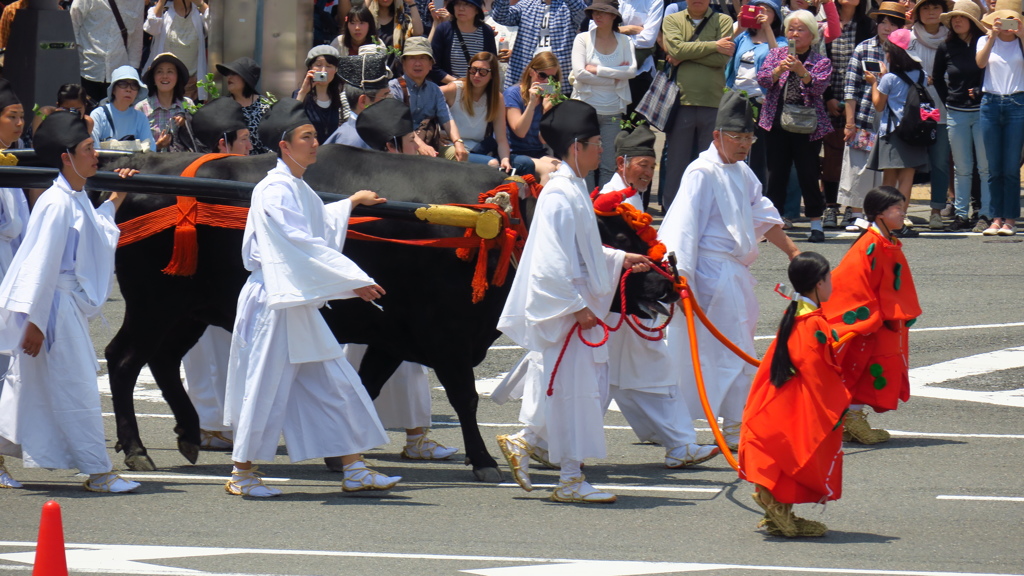 葵祭　さあ頑張れ