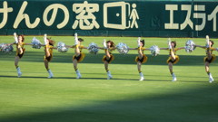 阪神頑張れ