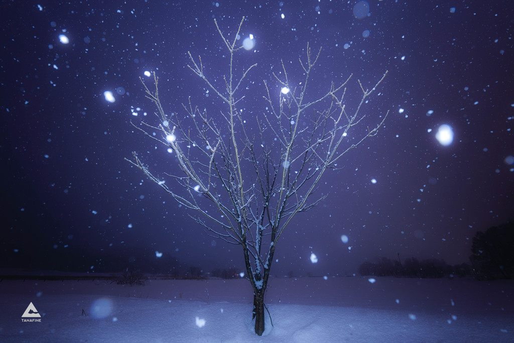 雪のきらめく夜