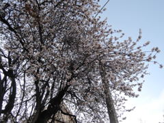 Christchurchその7