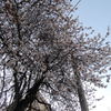 Christchurchその7