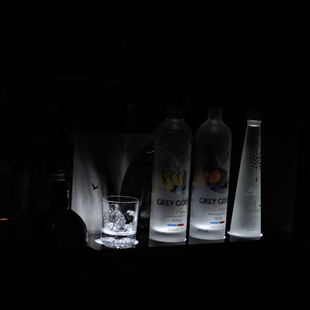the Grey Goose