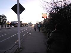 Christchurchその9