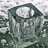 IMGP2717
