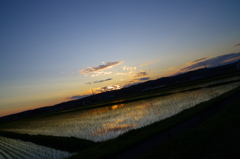 田んぼと夕日