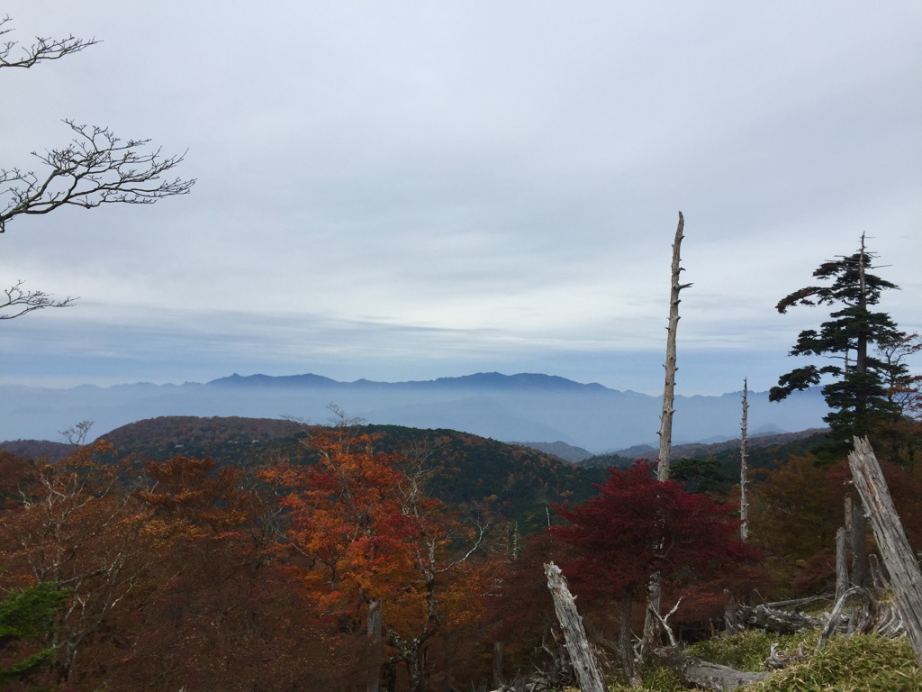 大台ケ原
