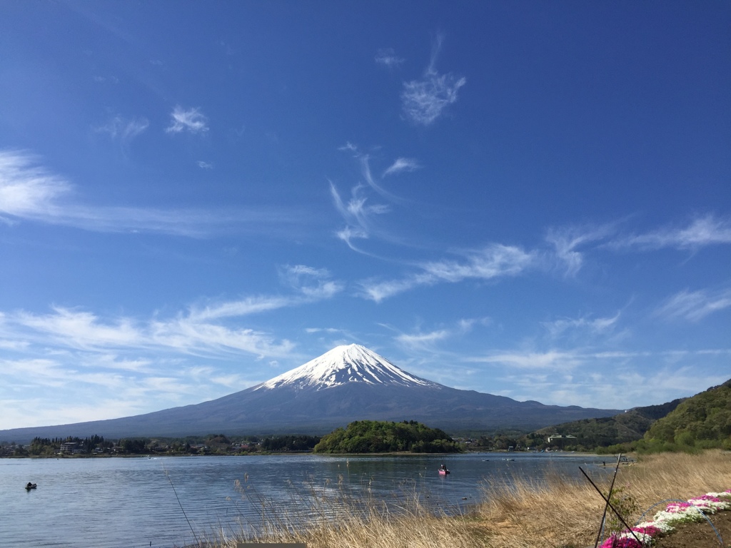 河口湖からの富士山