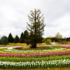 馬見丘陵公園