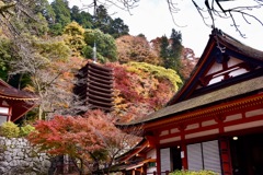 談山神社