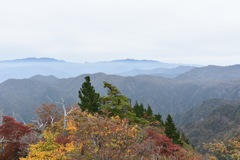 大台ケ原