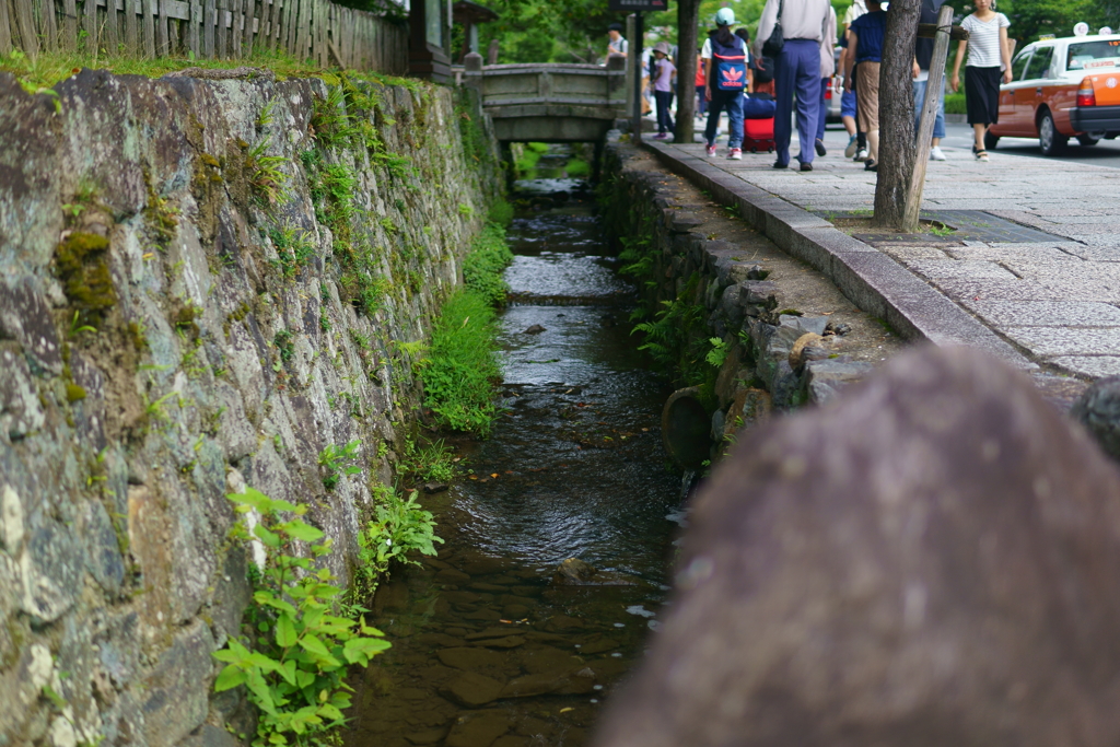 京都嵐山 夏の涼を求めて ５