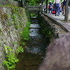 京都嵐山 夏の涼を求めて ５