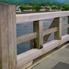 京都嵐山 夏の涼を求めて ４